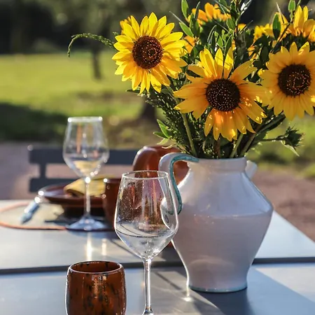 Tenuta Morcella - Casale In Umbria Di Lusso Con Piscina Apartamento Morcella